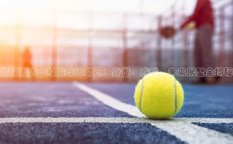 恒行6登录入口注册引力传媒揭秘浙大一级足球运动员：身世、成就、未来展望全揭秘