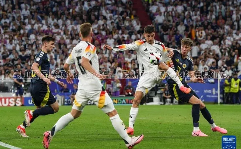 恒行官网登录入口滴滴出行宝山区足球场地招标公告 | 最新足球场地招标信息汇总