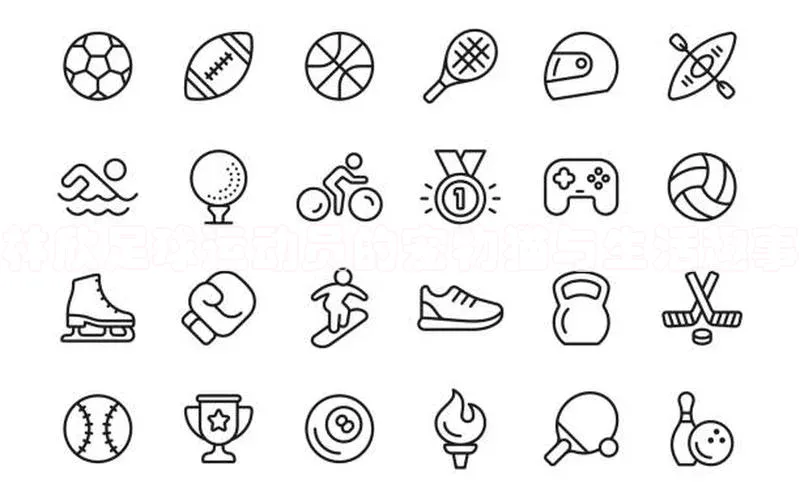 恒行平台招商百度游戏开放平台林欣足球运动员的宠物猫与生活趣事