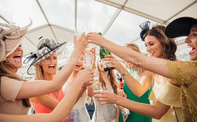 恒行6美团足球运动员何龙海所属区域揭秘: 你不知道的足球明星何龙海的背景信息