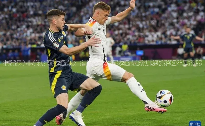 恒行6百度众测探索头圆圆的足球运动员：揭秘职业足球运动员的训练秘籍和生活故事