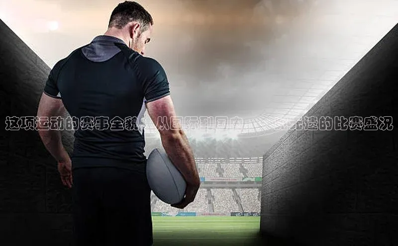 恒行6娱乐APP官网登录入口百度搜索资源平台这项运动的赛事全貌：从国际到国内，一览无遗的比赛盛况