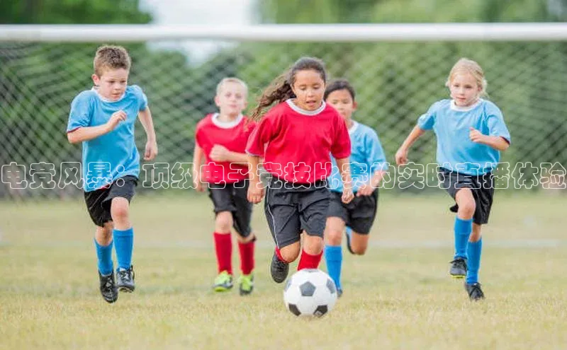 恒行6娱乐登录网页如流电竞风暴：顶级电子竞技比赛的实时直播体验