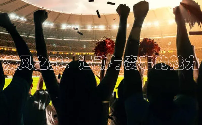 疾风之影：运动与赛事的魅力