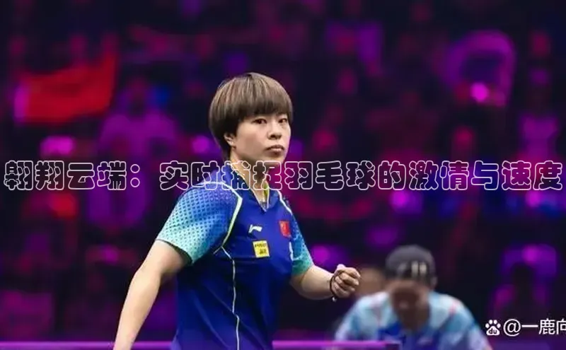 翱翔云端：实时捕捉羽毛球的激情与速度