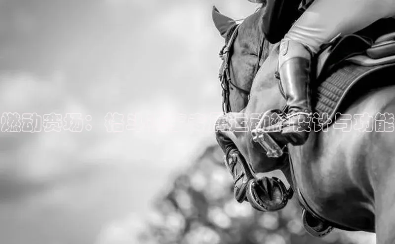 燃动赛场：格斗赛事专属运动裤设计与功能