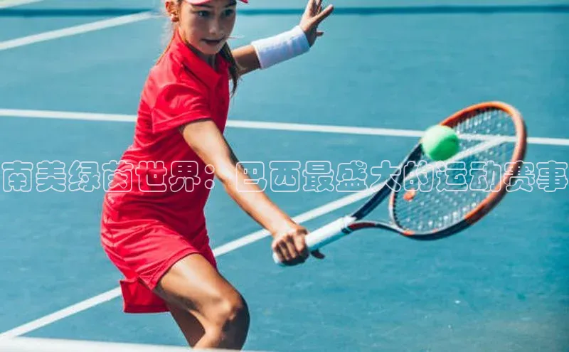 南美绿茵世界：巴西最盛大的运动赛事