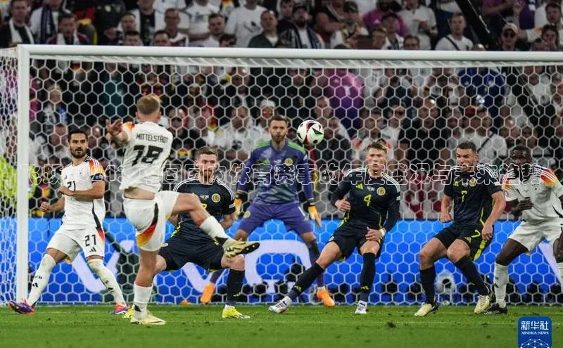 飞跃2024：中国国内体育赛事的年度盛况与未来趋势