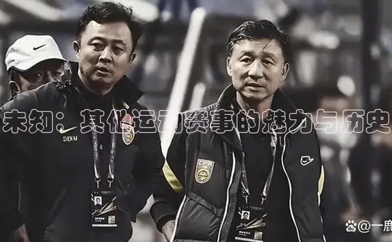 未知：其他运动赛事的魅力与历史