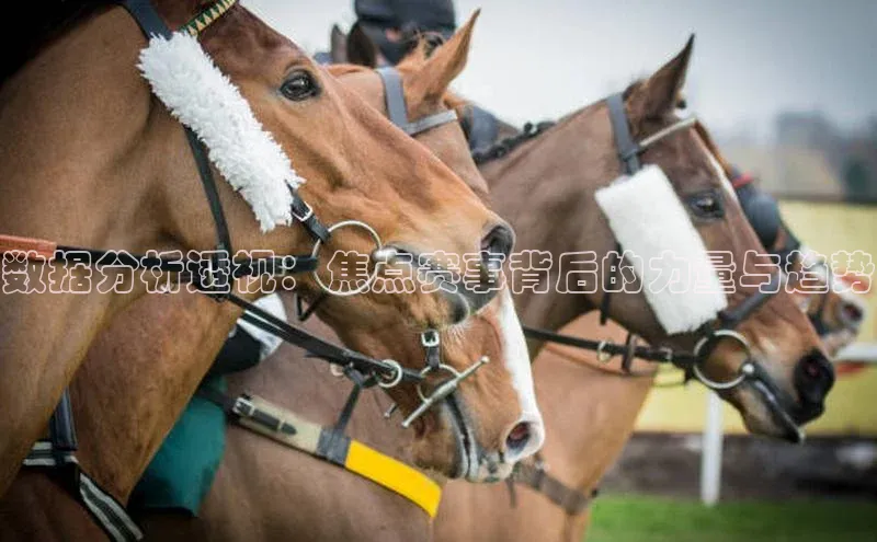 恒行6娱乐APP官网登录入口