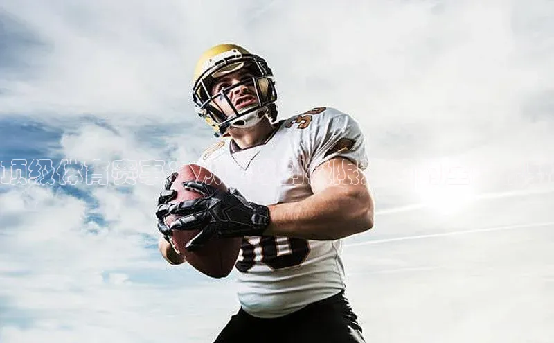 恒行官网登录入口